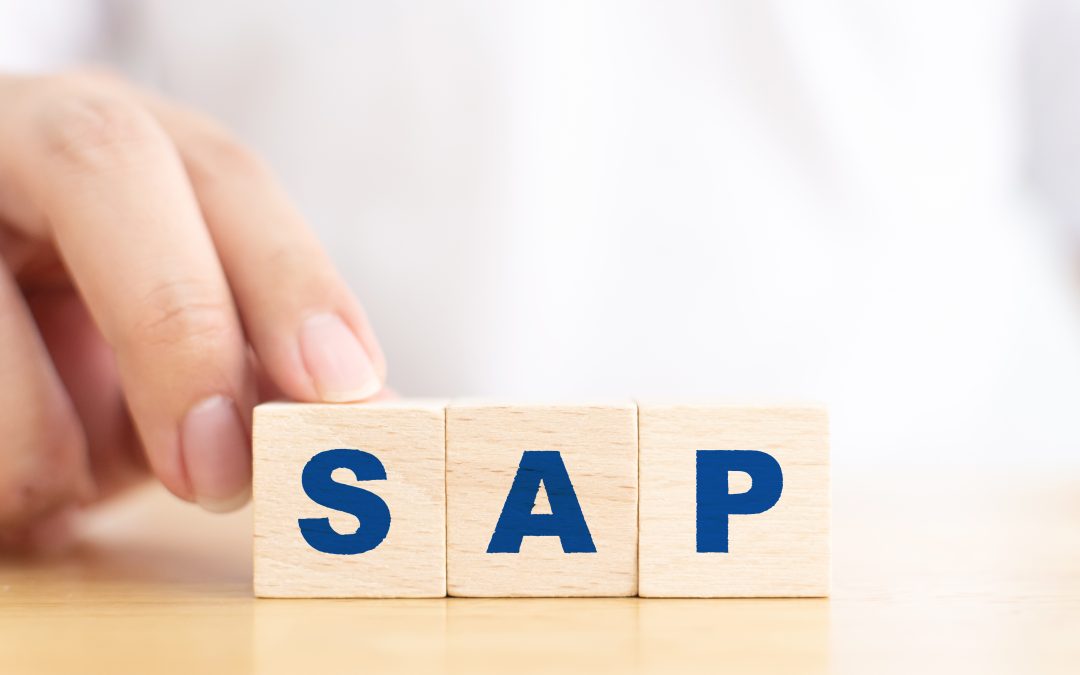 SAP kurz pro začátečníky: Vstupní brána do světa podnikových systémů