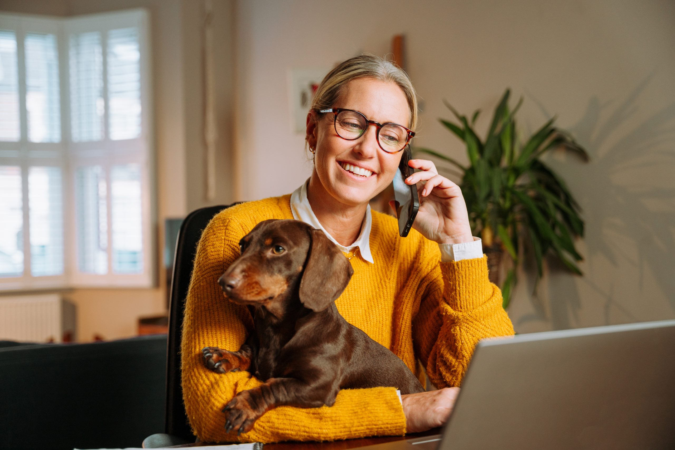 zaměstnání z domova