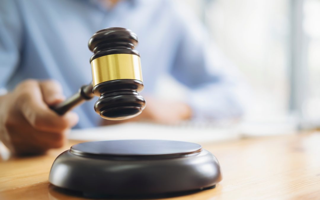 Revoluce ve veřejných dražbách